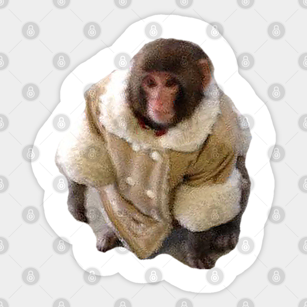 Stylish Yet Illegal Monkey Found Roaming Ikea Meme Sticker